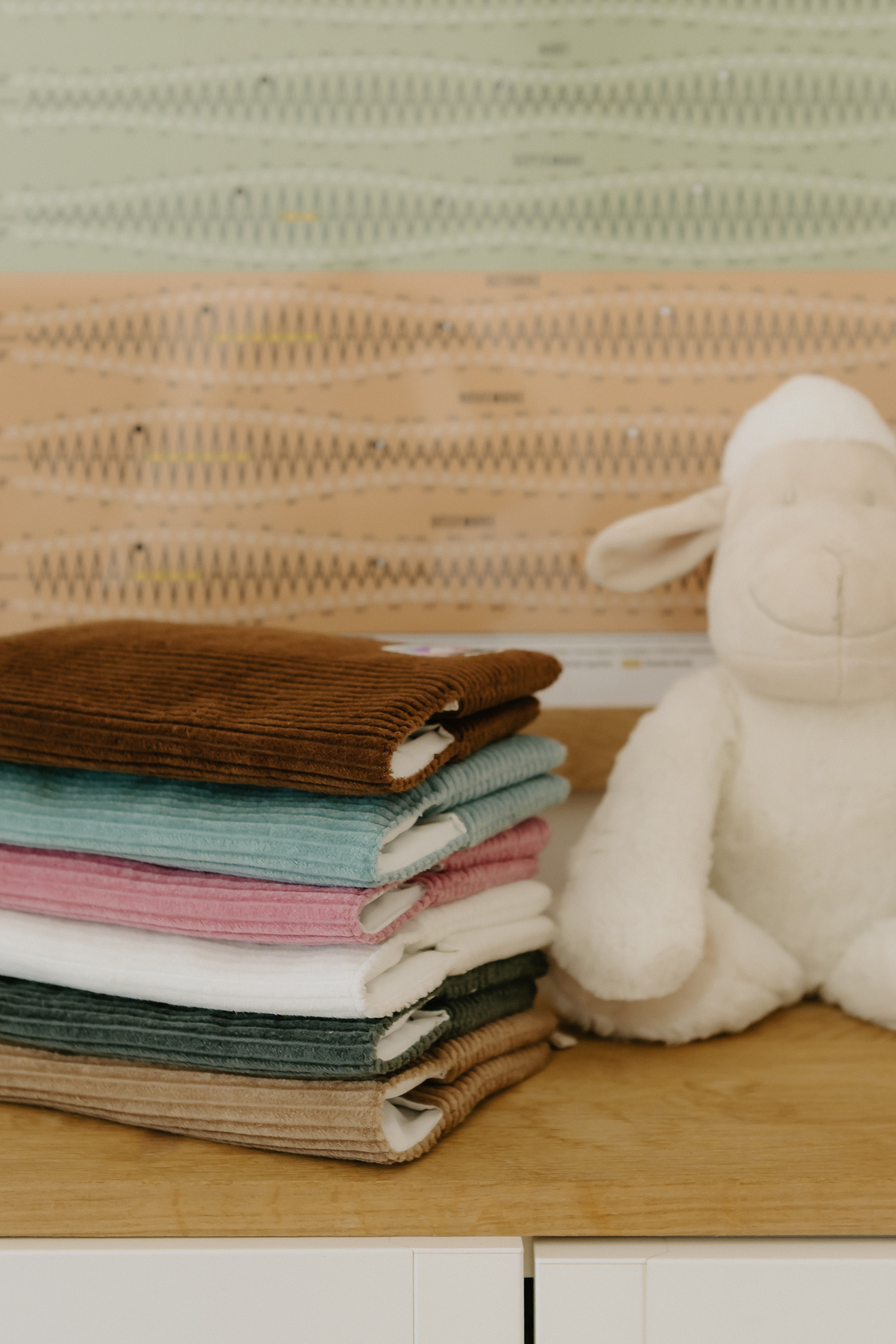 PROTÈGE CARNET DE SANTÉ - Menthe